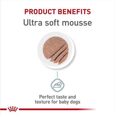 Royal Canin Size Health Nutrition Starter Mother & Babydog Mousse In Sauce Canned Dog Food - 145g - Canned Dog Food - Royal Canin - PetMax Canada