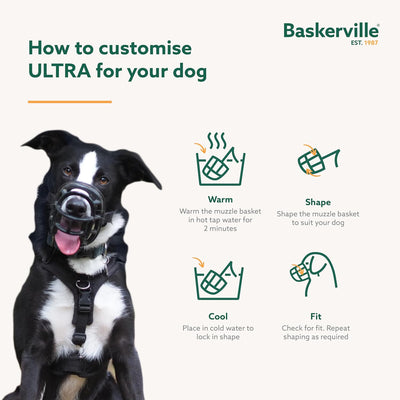Dog wearing a muzzle with Baskerville branding and instructions on customizing it.
