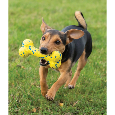 Zeus Nitro Bendy Bone Dog Toy