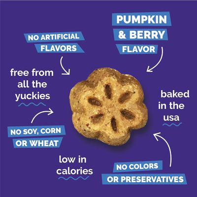 Fruitables Skinny Minis Dog Treats Pumpkin & Berry