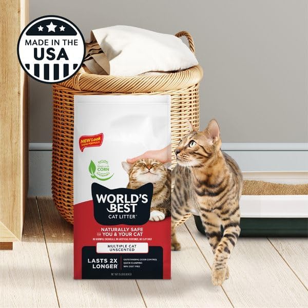La meilleure litière pour chats multiples au monde