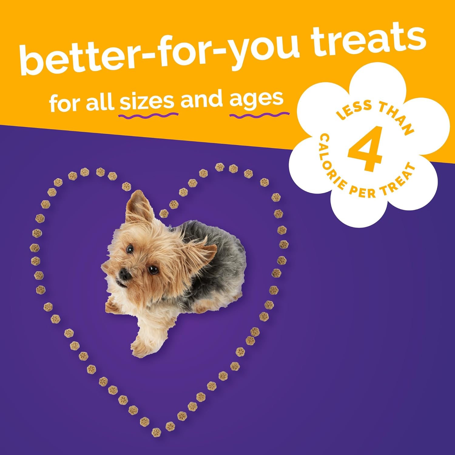 Fruitables Skinny Minis Friandises pour chiens Citrouille et mangue