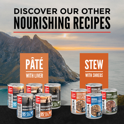 Orijen Pate Wet Dog Chicken with Liver