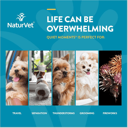 NaturVet Scoopables Quiet Moments Calming Aid Dog Supplement - Default Title - Health Care - Naturvet - PetMax Canada