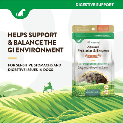Naturvet Dog Advanced Probiotics & Enzymes - Default Title - Health Care - Naturvet - PetMax Canada