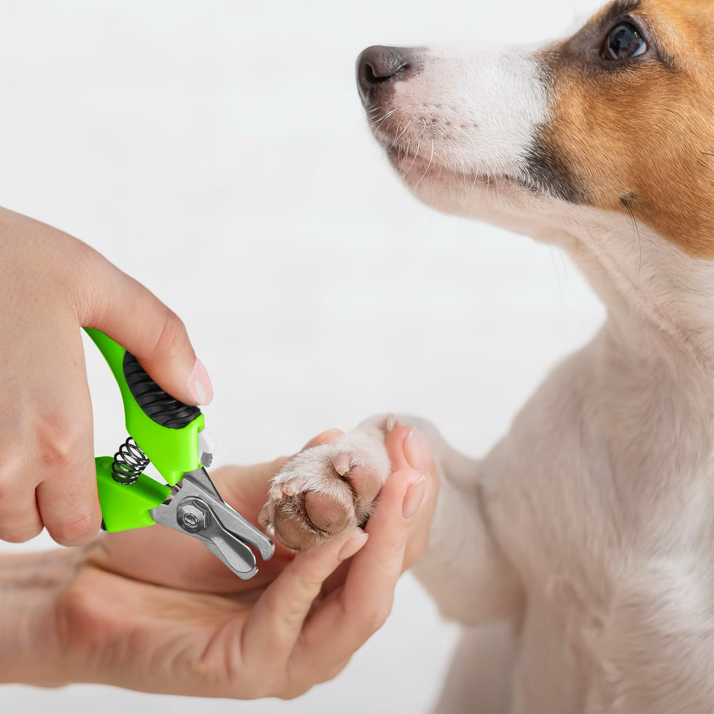 Conair Pro Pet Dog Nail Clipper  Grooming  | PetMax Canada