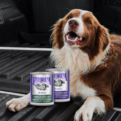 Fromm Canned Dog Food Classic Chicken and Rice