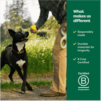 Earth Rated Rubber Fetch Chew Dog Toy - Small - Dog Toys - Earth Rated - PetMax Canada