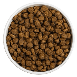 Red Barn Grain-Free Ocean Recipe Dog Food  Dog Food  | PetMax Canada