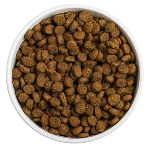 Red Barn Grain-Free Ocean Recipe Dog Food  Dog Food  | PetMax Canada