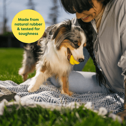 Earth Rated Rubber Fetch Chew Dog Toy - Small - Dog Toys - Earth Rated - PetMax Canada