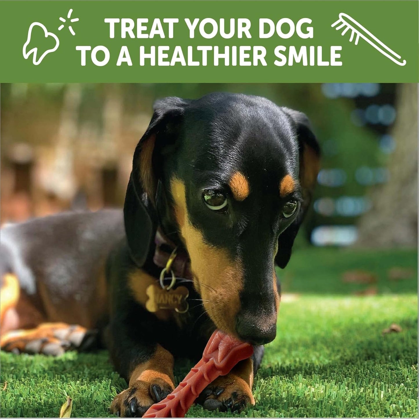 Whimzees Natural Grain Free Daily Dental Long Lasting Dog Treats Brushzees  Natural Chews  | PetMax Canada