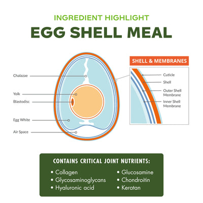 Fromm Nutritionals Mobility Dog Treats