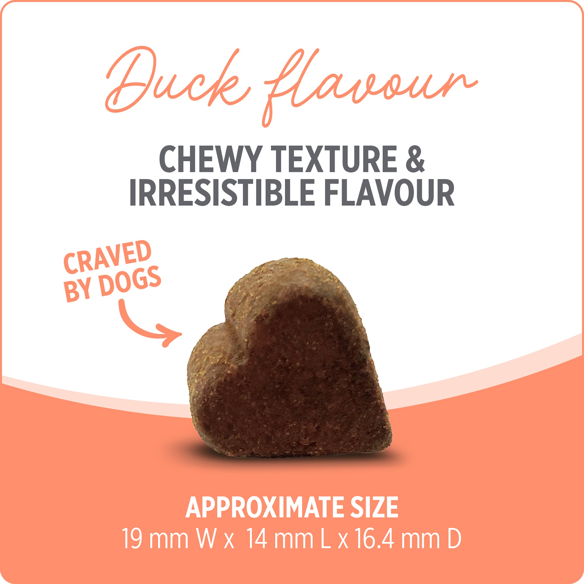 Nutrience Care Probiotic+ Supplement for Dogs