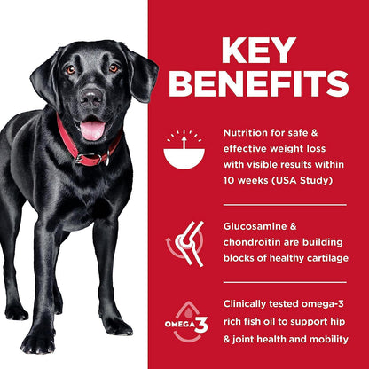 Hill's Science Diet Adult Perfect Weight & Joint Support Large Breed Dry Dog Food Chicken Recipe - 11.3 Kg - Dog Food - Hill's Science Diet - PetMax Canada