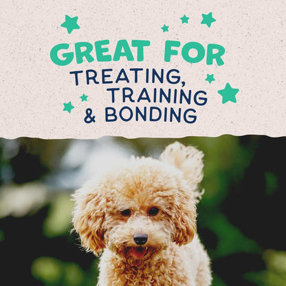 Natural Balance Rewards Minis with Real Chicken Dog Treats - 150g - Dog Treats - Natural Balance - PetMax Canada
