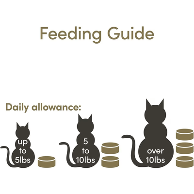 Applaws Tuna Fillet Canned Cat Food - 70g - Canned Cat Food - Applaws - PetMax Canada