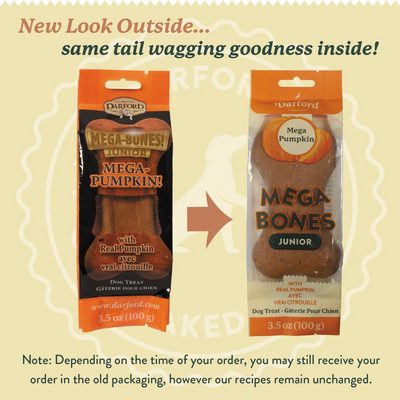 Darford Mega Bones Pumpkin