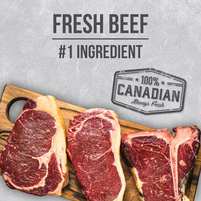 Nutrience Infusion Healthy Adult Beef Dry Dog Food