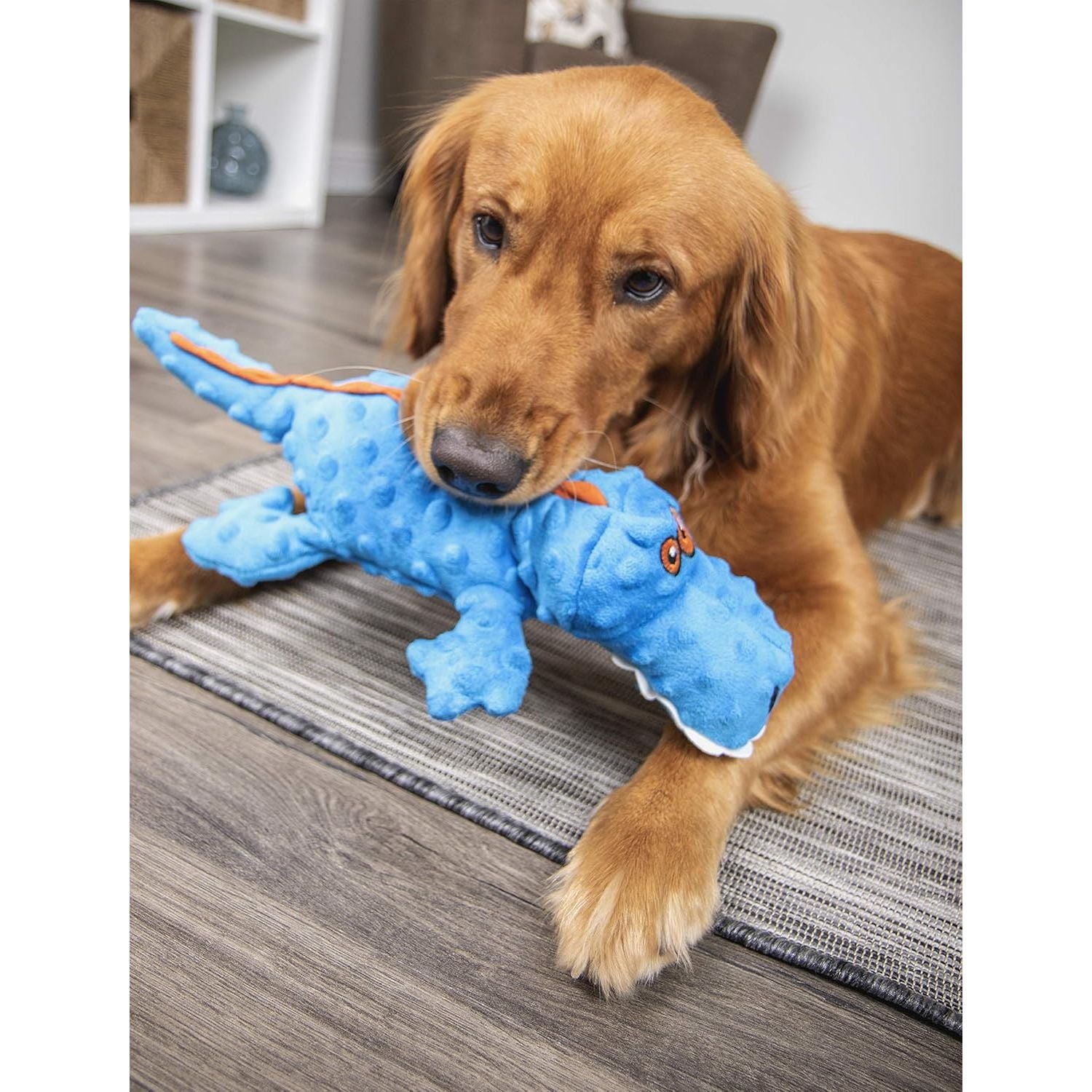 Go Dog! Gator with Chew Guard Technology Durable Plush Squeaker Dog Toy