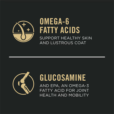 Purina Pro Plan Sensitive Skin &amp; Stomach 7+ Formule saumon et riz Nourriture sèche pour chiens