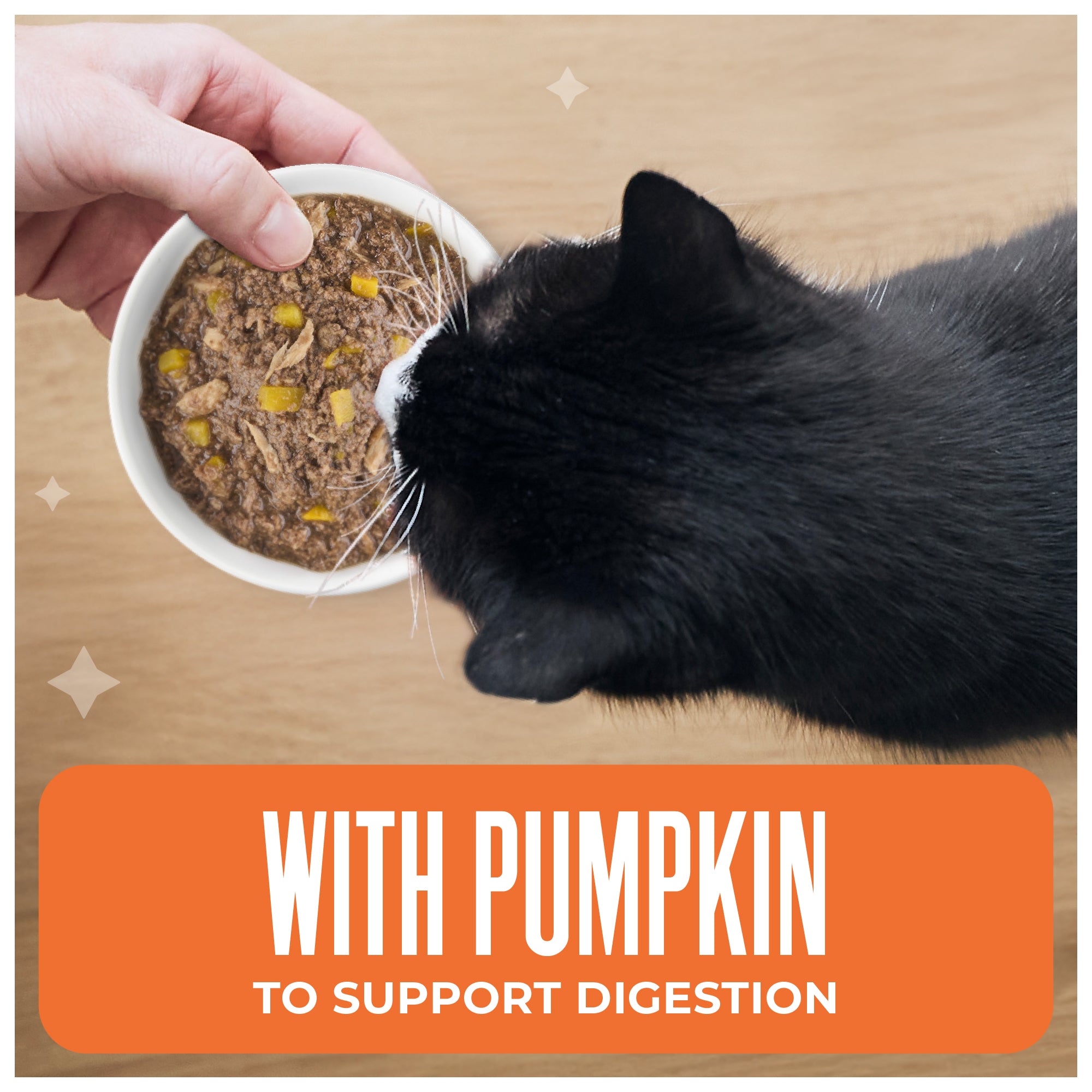 Tiki Cat Aloha Friends Tuna & Pumpkin Recipe in Broth Wet Cat Food - Product Highlights 2 - Tiki Cat - PetMax Canada