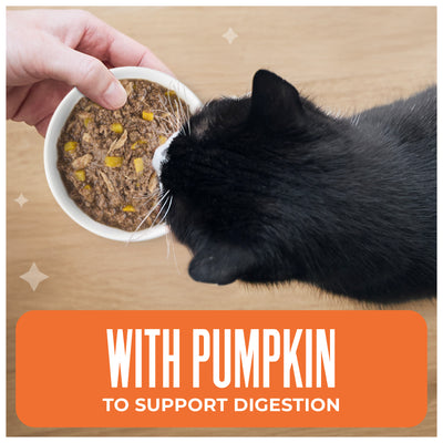 Tiki Cat Aloha Friends Tuna & Pumpkin Recipe in Broth Wet Cat Food - Product Highlights 2 - Tiki Cat - PetMax Canada