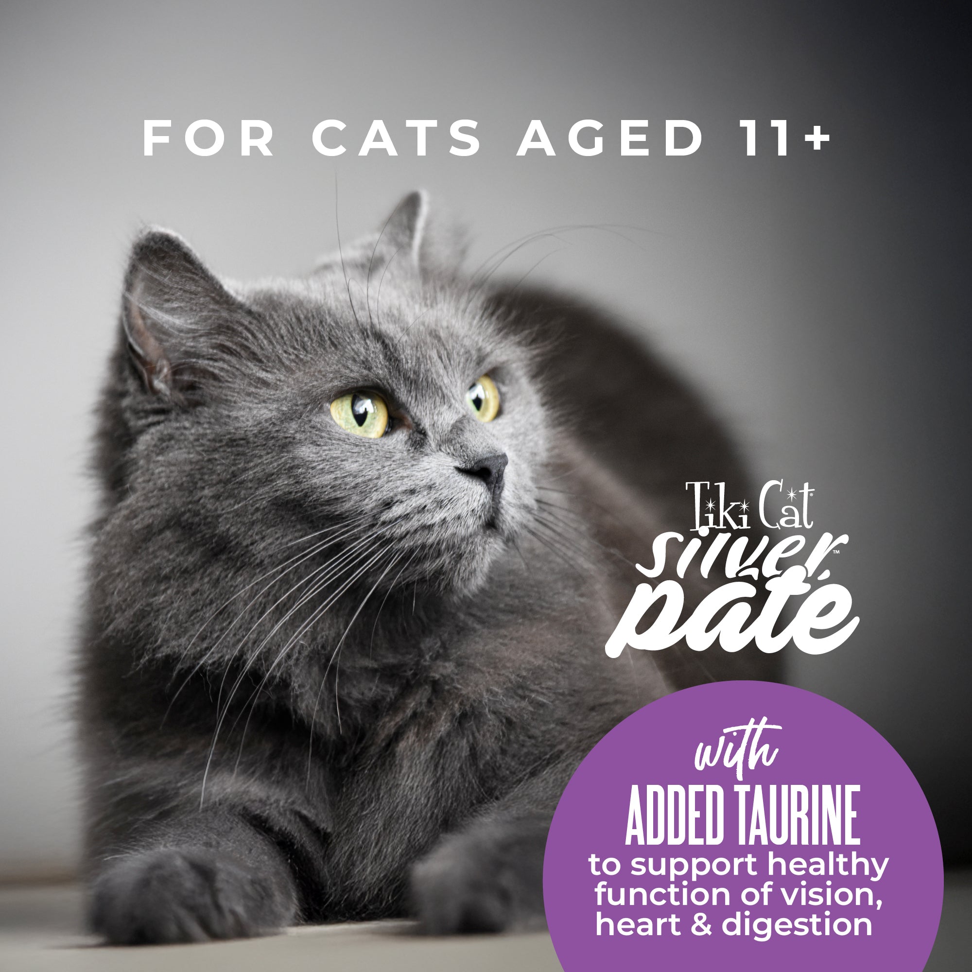 Tiki Cat Silver Pâté Chicken, Salmon & Chicken Liver Recipe in Broth Wet Cat Food - Product Highlights 4 - Tiki Cat - PetMax Canada