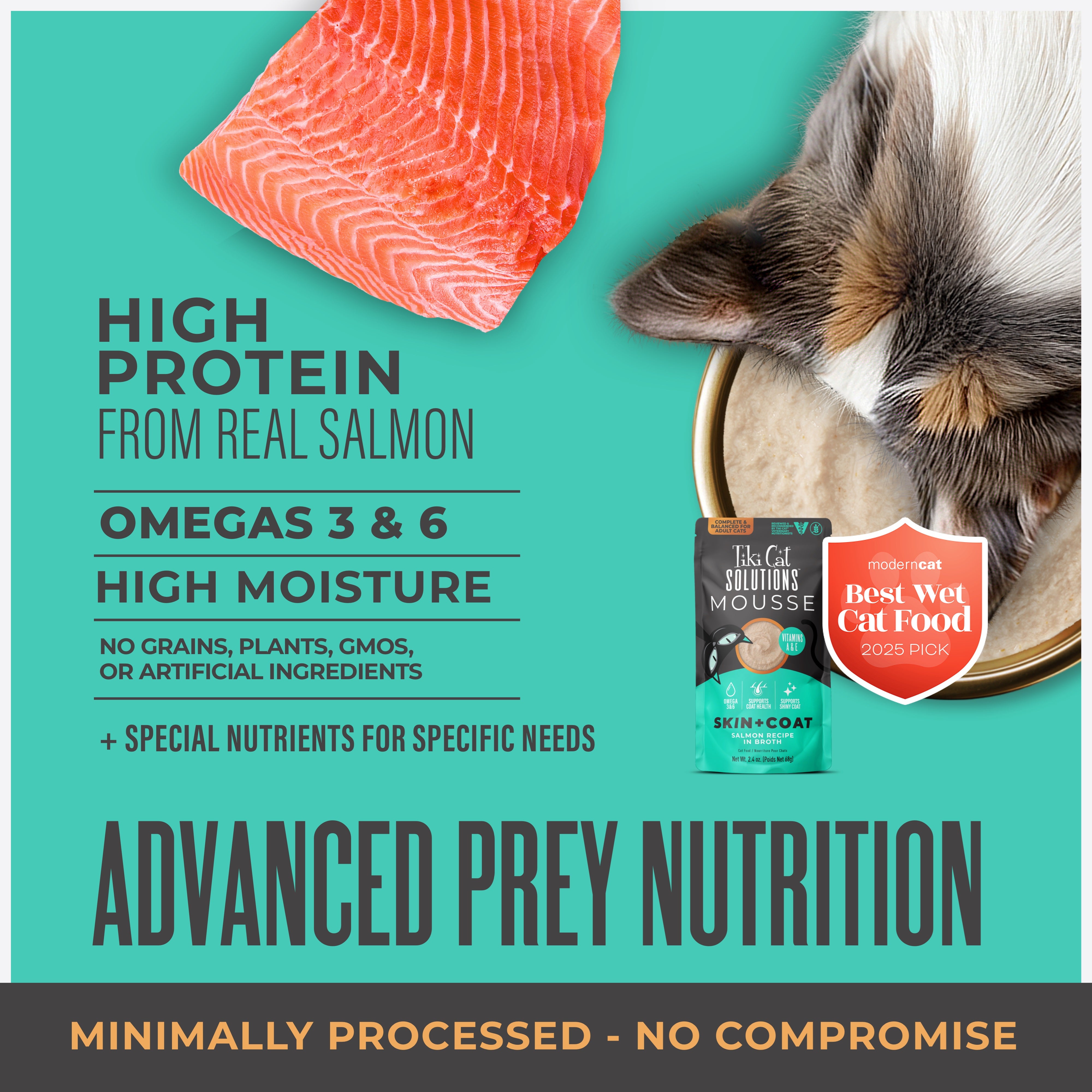 Tiki Cat Special Mousse Skin & Coat Salmon Recipe in Broth Wet Cat Food - Product Highlights 2 - Tiki Cat - PetMax Canada