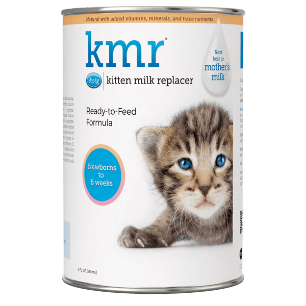 Is milk safe for kittens clearance