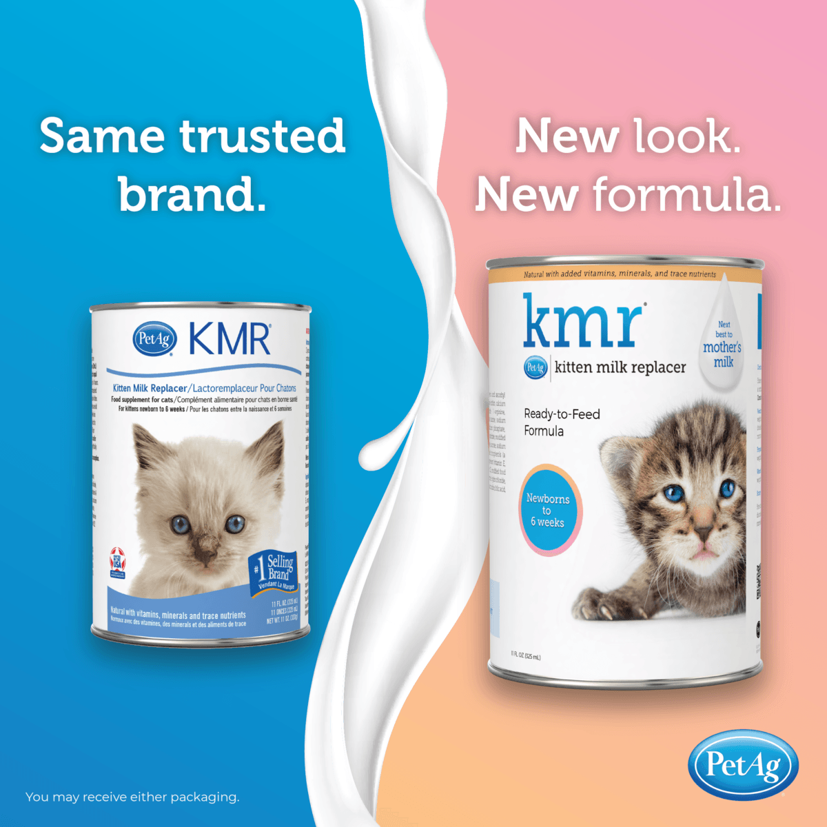 Is milk ok for kittens clearance