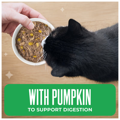 Tiki Cat Aloha Friends Tuna, Ocean Whitefish & Pumpkin Recipe in Broth Wet Cat Food - Product Highlights 2 - Tiki Cat - PetMax Canada