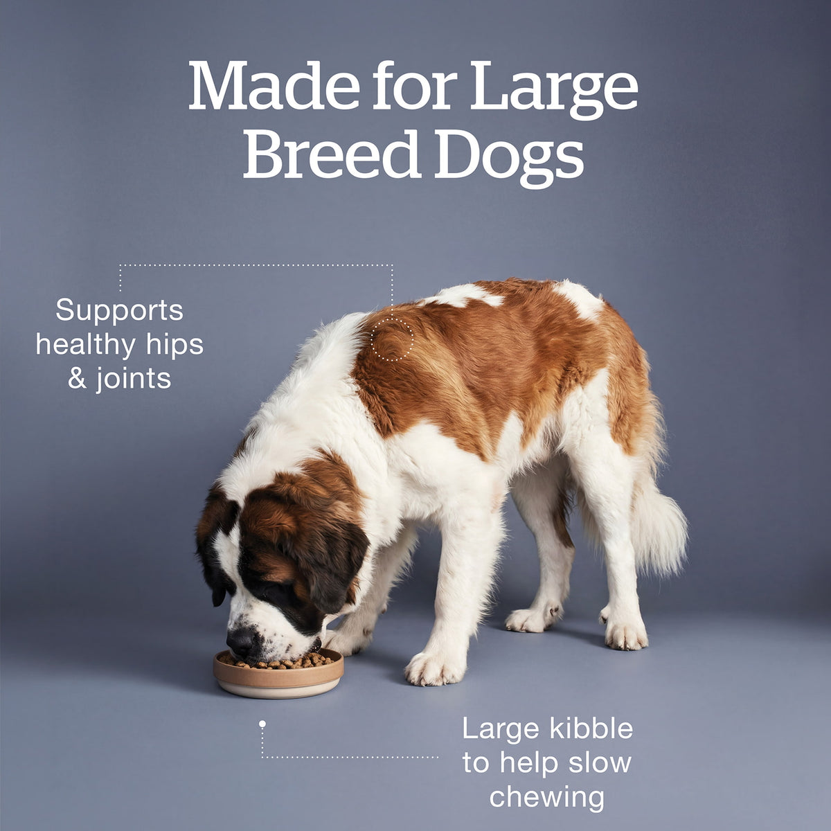 Now Fresh Good Gravy Beef Coated in Bone Broth for Large Breed Adult Dogs - Made for large breed dogs with hip and joint support and large kibble - PetMax Canada