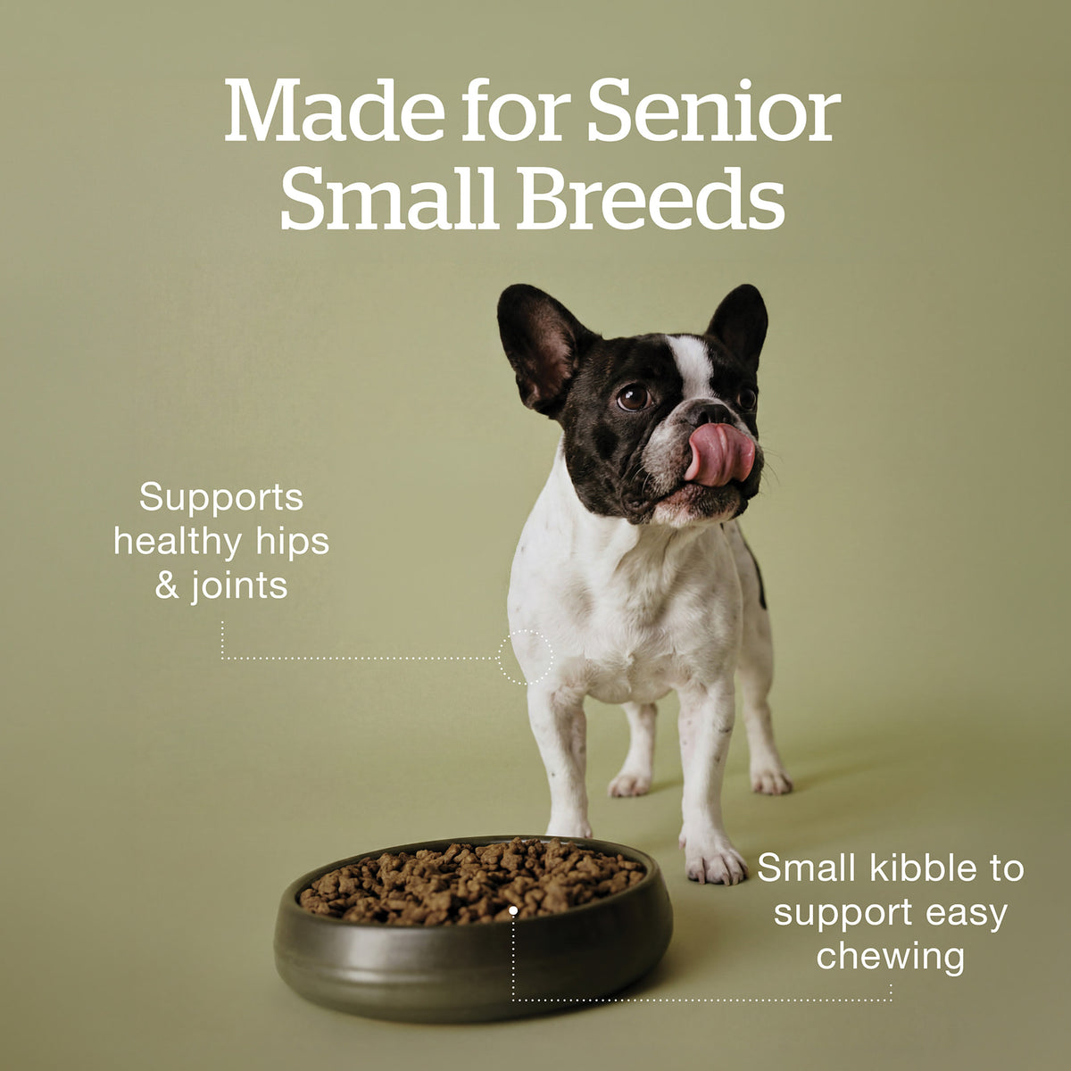 Now Fresh Good Gravy Salmon Coated in Bone Broth for Small Breed Senior Dogs - Made for senior small breeds: hip and joint support and small kibble - PetMax Canada