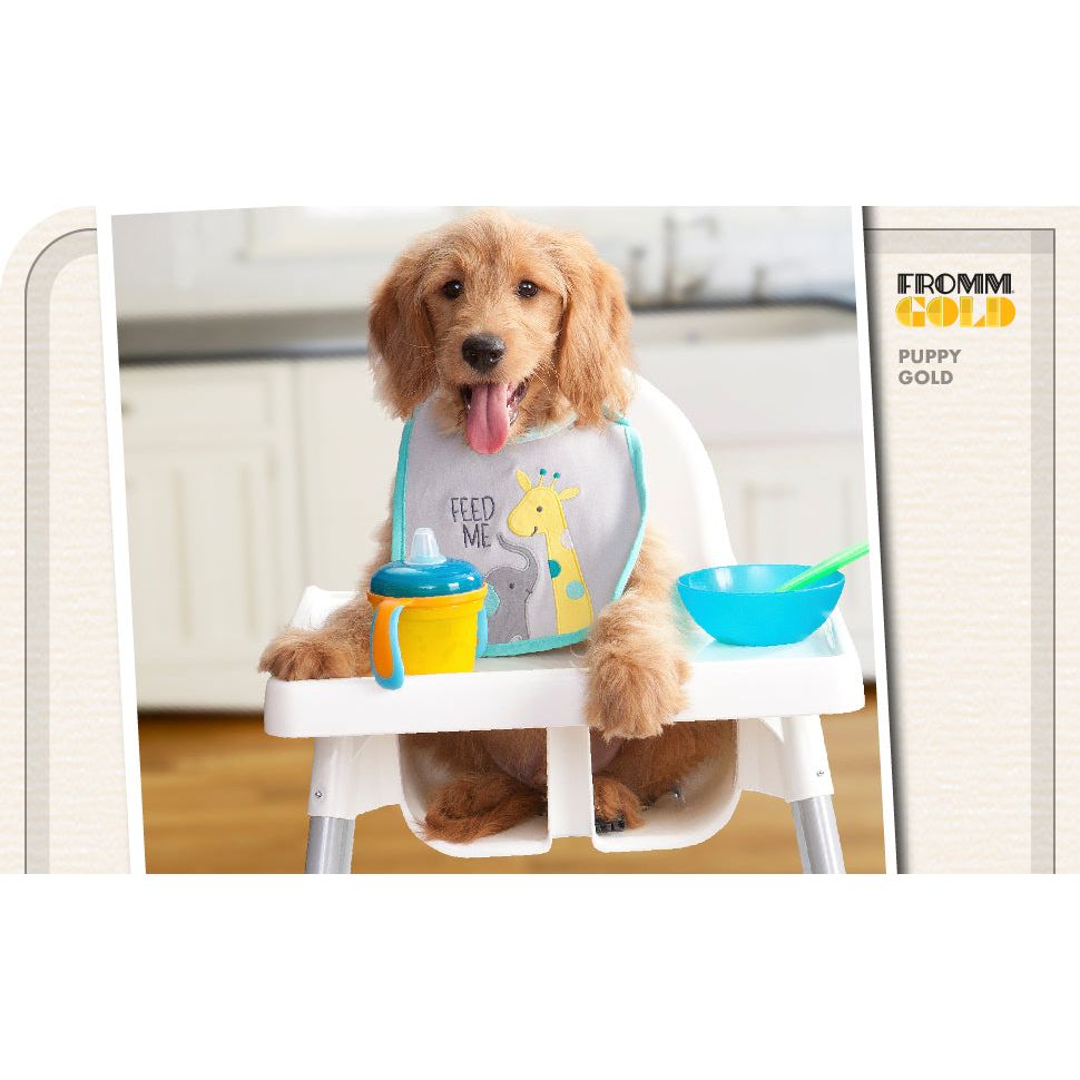 Fromm Gold Puppy Food