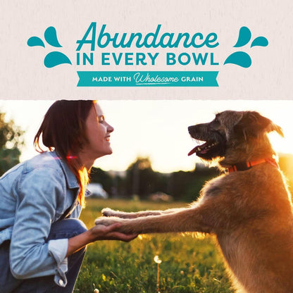 Natural Balance Original Ultra Chicken Recipe Wet Dog Food - 369g - Canned Dog Food - Natural Balance - PetMax Canada