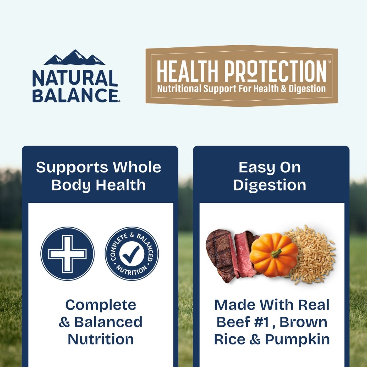 Natural Balance Health Protection Beef, Pumpkin & Brown Rice Stew Wet Dog Food - 354g - benefit banner - 'Supports Whole Body Health' / 'Easy On Digestion' - Natural Balance - PetMax Canada