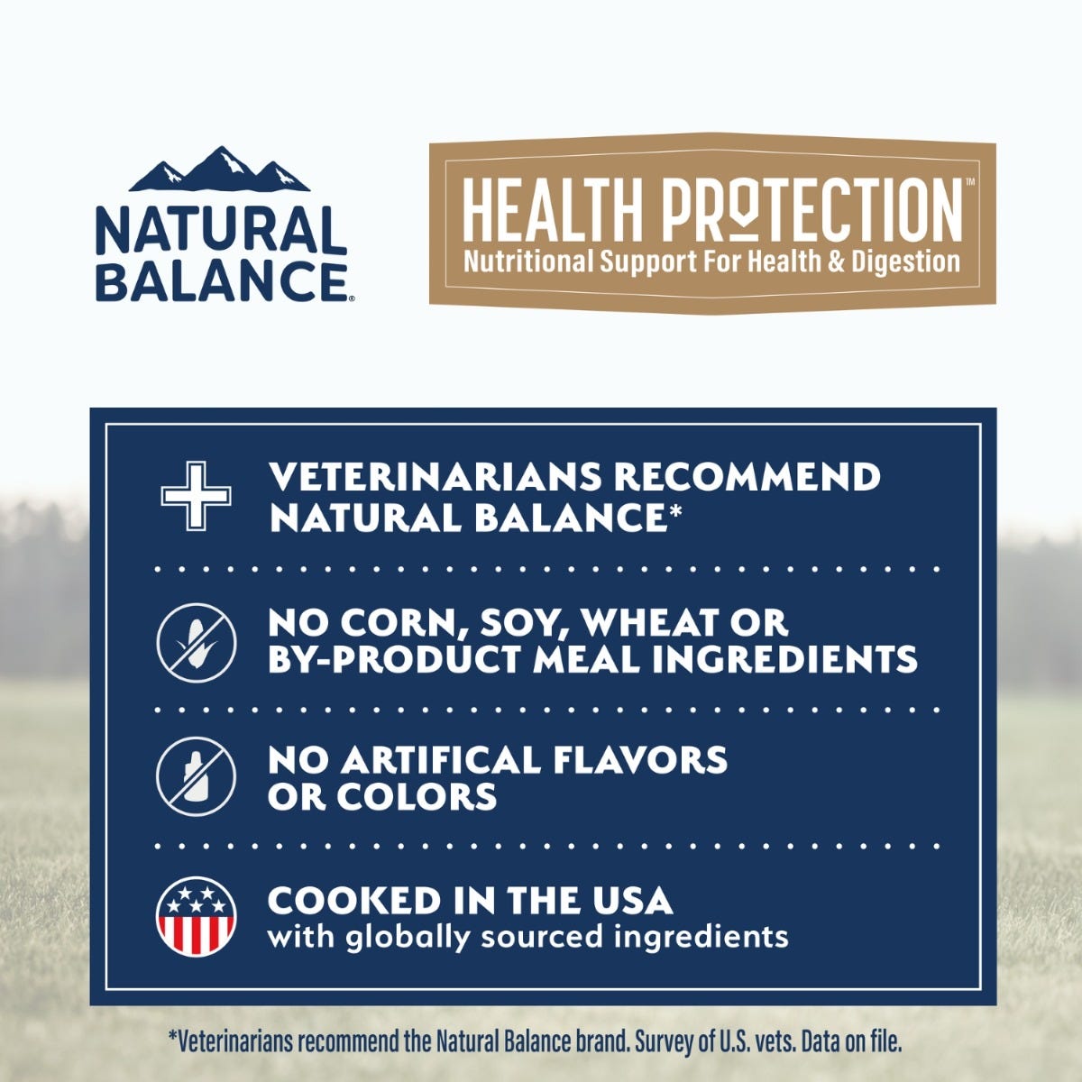 Natural Balance Health Protection Beef, Pumpkin & Brown Rice Stew Wet Dog Food - 354g - benefit banner - vets recommend Natural Balance; no corn, soy, wheat or by-product meal; no artificial flavors or colors - Natural Balance - PetMax Canada