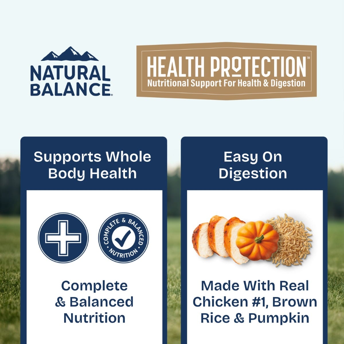 Natural Balance Health Protection Chicken, Pumpkin & Brown Rice Stew Wet Dog Food - 354g - benefit banner - 'Supports Whole Body Health' / 'Easy On Digestion' - Natural Balance - PetMax Canada