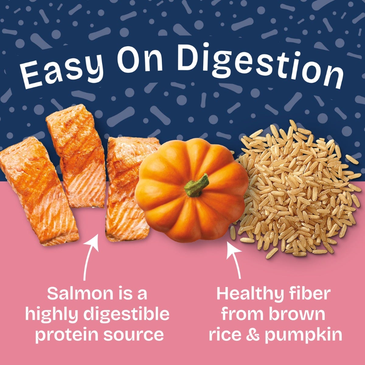 Natural Balance Health Protection Salmon, Pumpkin & Brown Rice Stew Wet Dog Food - 354g - benefit banner - 'Easy On Digestion' (salmon + pumpkin + brown rice) - Natural Balance - PetMax Canada