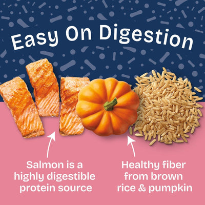 Natural Balance Health Protection Salmon, Pumpkin & Brown Rice Stew Wet Dog Food - 354g - benefit banner - 'Easy On Digestion' (salmon + pumpkin + brown rice) - Natural Balance - PetMax Canada