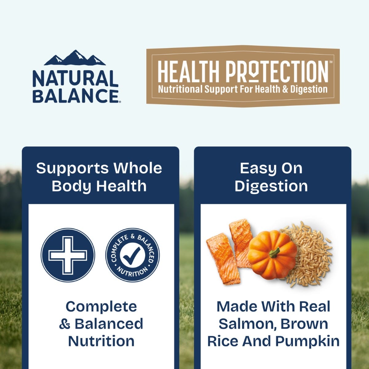 Natural Balance Health Protection Salmon, Pumpkin & Brown Rice Stew Wet Dog Food - 354g - benefit banner - 'Supports Whole Body Health' / 'Easy On Digestion' - Natural Balance - PetMax Canada