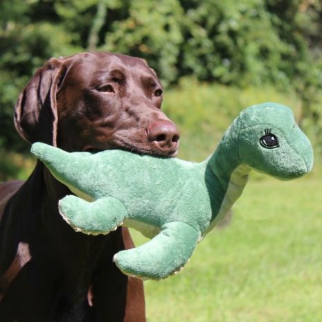 Tall Tails Plush Nessie With Squeaker & Rope Dog Toy