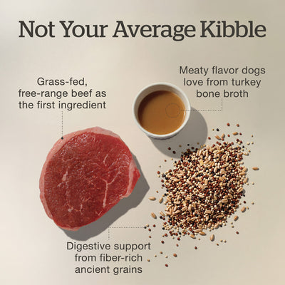 Now Fresh Good Gravy Beef Coated in Bone Broth for Large Breed Adult Dogs - Grass-fed beef, turkey bone broth and ancient grains - PetMax Canada