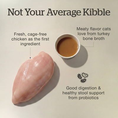 Now Fresh Good Gravy Chicken Coated in Bone Broth for Senior Cats - Fresh chicken, turkey bone broth and probiotics - PetMax Canada