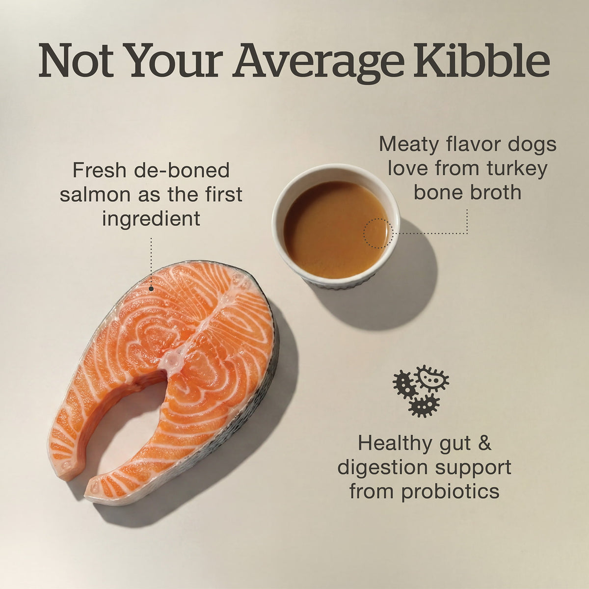 Now Fresh Good Gravy Salmon Coated in Bone Broth for Small Breed Senior Dogs - Salmon first ingredient, turkey bone broth and probiotics - PetMax Canada