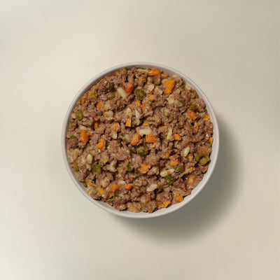 Now Fresh Ground Beef & Rice Wet Dog Food with Grains