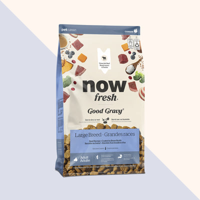 Now Fresh Good Gravy Beef Coated in Bone Broth for Large Breed Adult Dogs - Dry Dog Food - Now Fresh - PetMax Canada