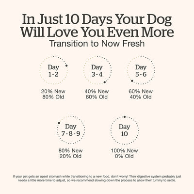 Now Fresh Good Gravy Beef Coated in Bone Broth for Large Breed Adult Dogs - 10-day food transition guide - PetMax Canada