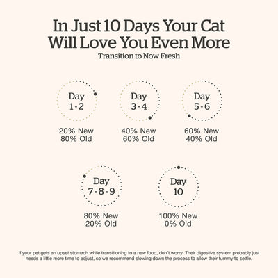 Now Fresh Good Gravy Chicken Coated in Bone Broth for Senior Cats - 10-day food transition guide - PetMax Canada